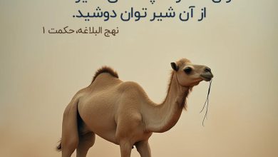 حدیث فتنه از امام علی علیه السلام
