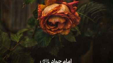 حدیث معاشرت با بی خردان از امام جواد علیه السلام