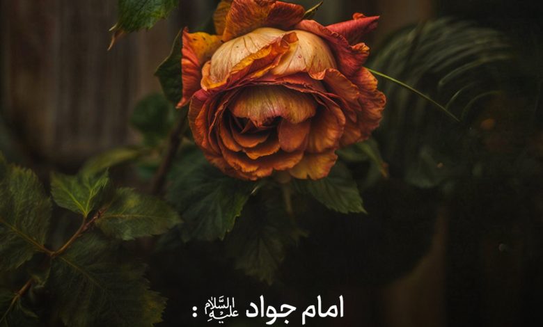 حدیث معاشرت با بی خردان از امام جواد علیه السلام
