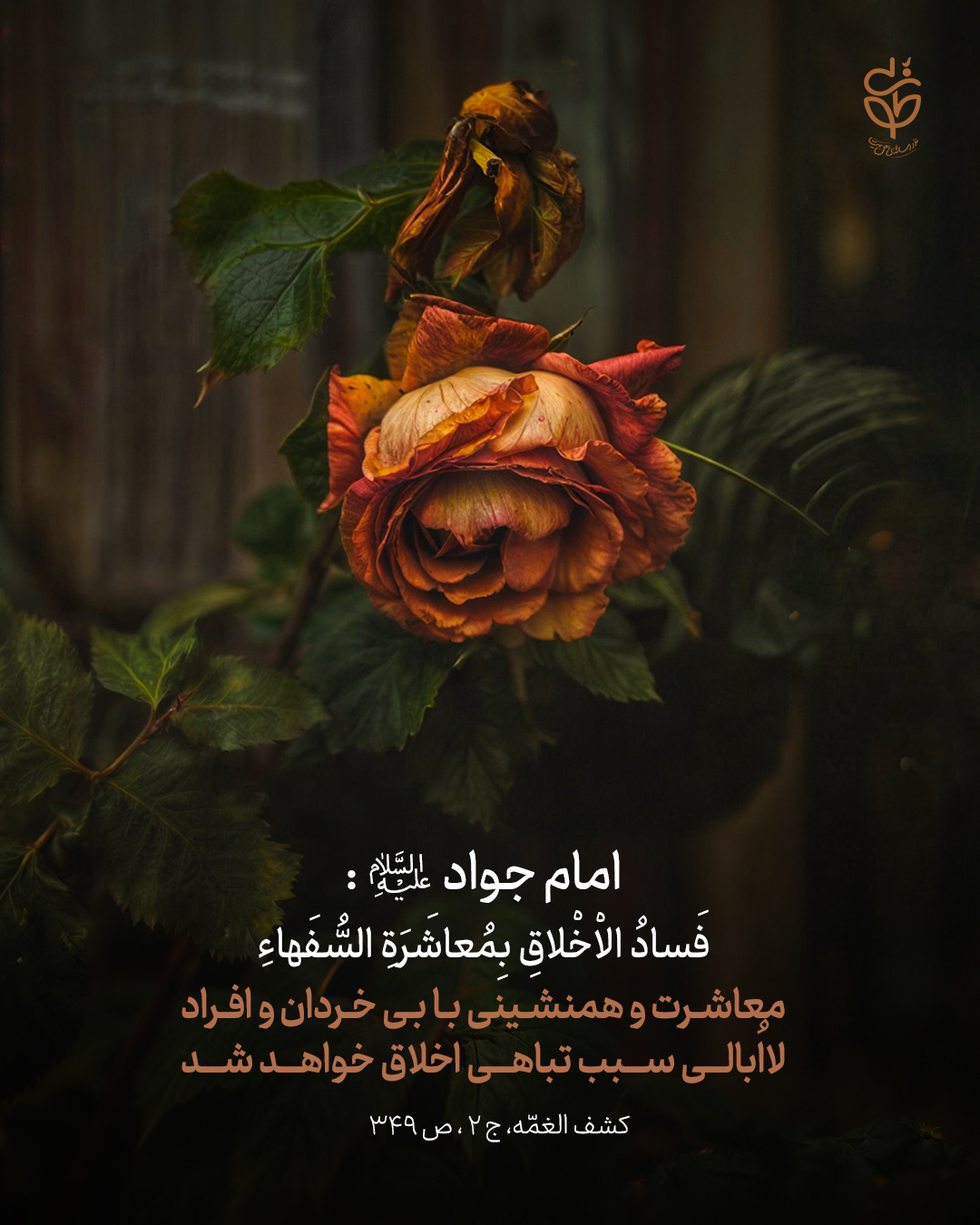 حدیث معاشرت با بی خردان از امام جواد علیه السلام