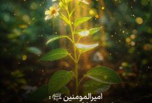 حدیث گذشت از امام علی علیه السلام