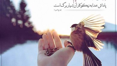 حدیث ثواب از امام علی علیه السلام