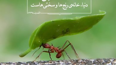 حدیث دنیا از امام علی علیه السلام