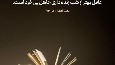 حدیث عقل از امام کاظم علیه السلام