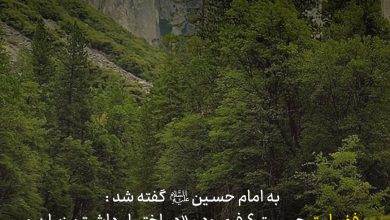 حدیث فضیلت از امام حسین علیه السلام