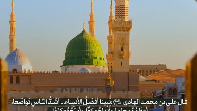 حدیث اشاره به شخصیت پیامبر از امام هادی علیه السلام