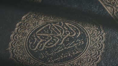 حدیث تقلید از مجتهد از امام زمان علیه السلام