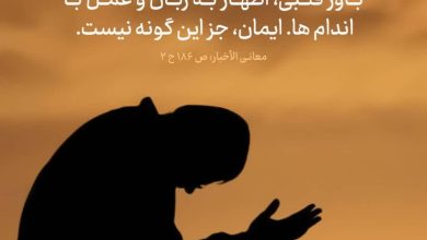 حدیث ایمان از امام رضا علیه السلام