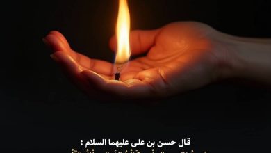 حدیث بردباری از امام حسن مجتبی علیه السلام