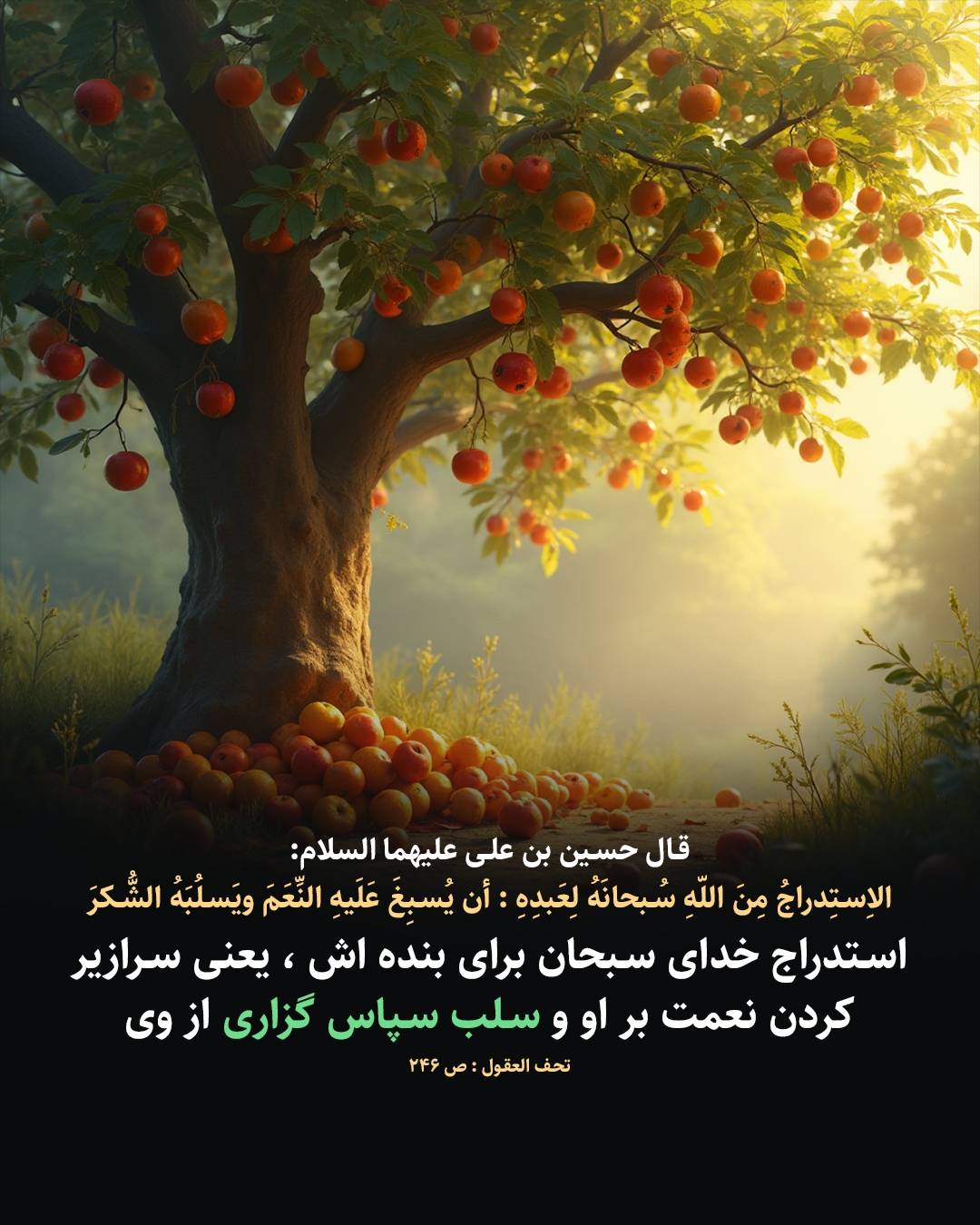 حدیث آزمایش الهی از طریق نعمت و غفلت از شکرگزاری امام حسین علیه السلام
