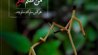 حدیث عدالت اجتماعی از امام علی علیه السلام