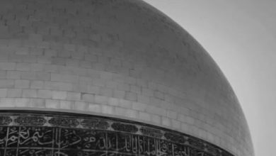 ویدیو غدیر بگو تا برایت علی جان