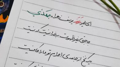 یک نخ از جامه ی احرام تو مارا کافیست