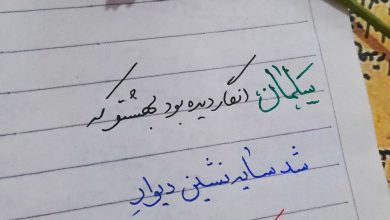سلمان ، سایه نشین دیوار علی