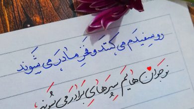 فخر زینب سلام الله علیها