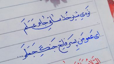 پسر فاتح جنگ جمل