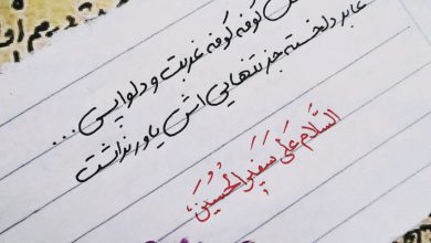 مسافر سفر غربت