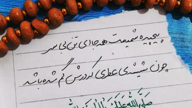 شمیم حسین علیه‌السلام