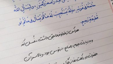 سخنی از امام هادی علیه السلام درباره ی برکت زیارت حرم امام رضا (ع)