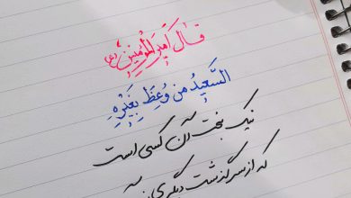 سخنی از امام علی علیه السلام درباره ی پندآموزی از سرگذشت دیگران