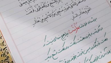 سخنی از امام رضا علیه السلام درباره خواندن نماز شب