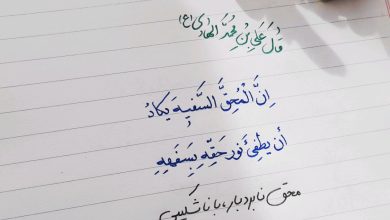 بردباری، نگهبان حقانیت؛ حدیثی از امام هادی علیه السلام