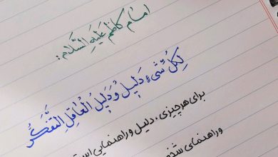 سخنی از امام کاظم علیه السلام درباره تفکر و اندیشه